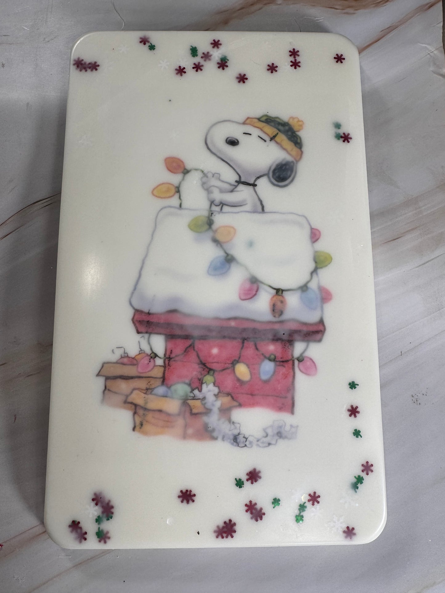 Peanuts Wax Canvas - Laundry Day - 16oz 😱