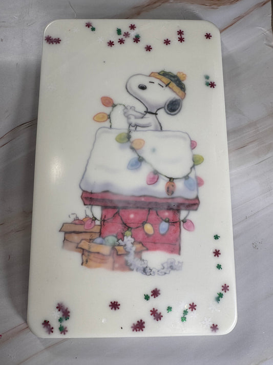 Peanuts Wax Canvas - Laundry Day - 16oz 😱